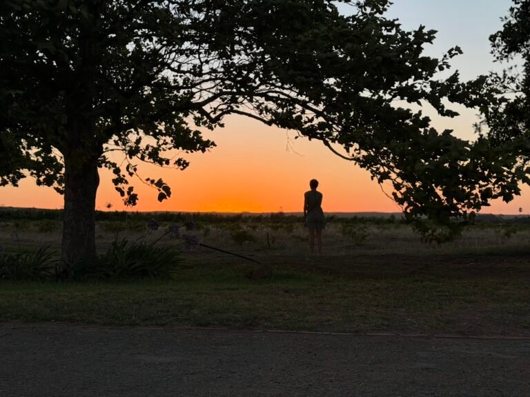 70a46f52 9fb7 494d b1b1 5a88507a988e 1 102 a